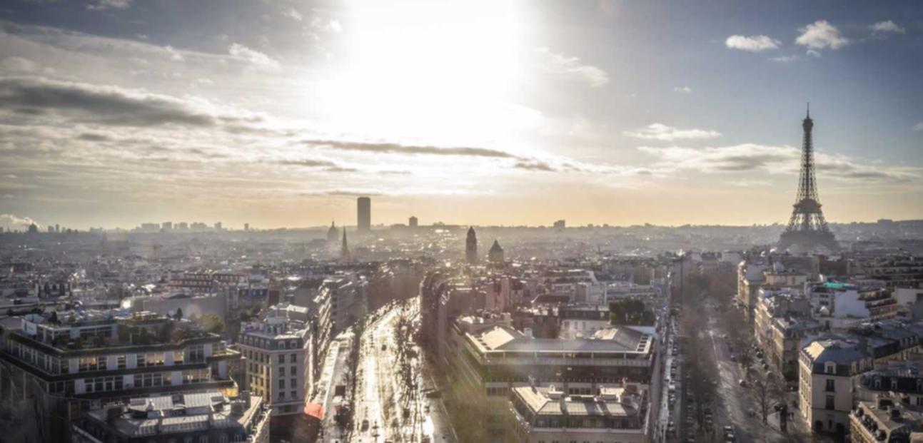 支付宝实名认证:狮子狗宠物购买平台