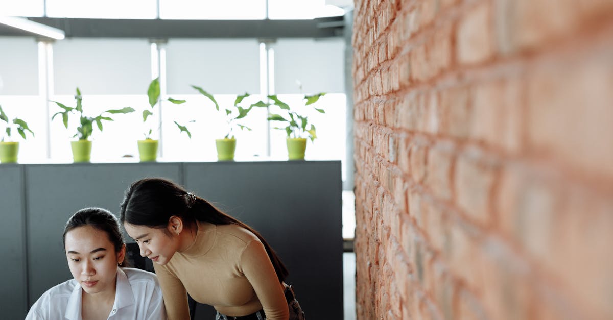 田园农场如何注册公司账号